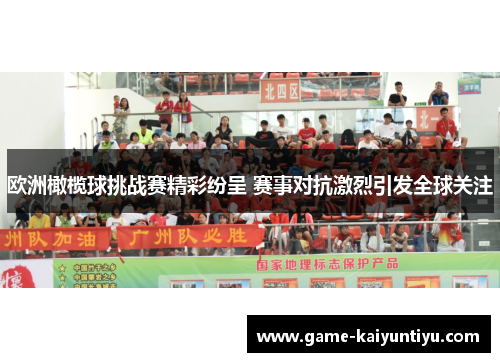 欧洲橄榄球挑战赛精彩纷呈 赛事对抗激烈引发全球关注 欧洲橄榄球挑战赛精彩纷呈 赛事对抗激烈引发全球关注