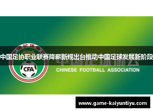 中国足协职业联赛降薪新规出台推动中国足球发展新阶段