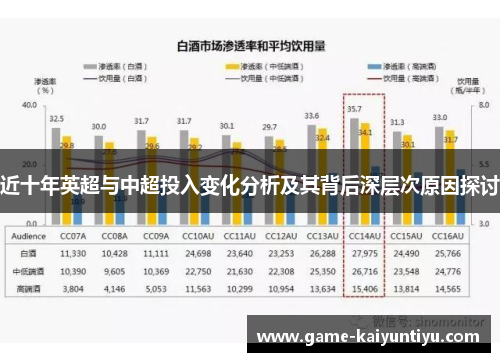 近十年英超与中超投入变化分析及其背后深层次原因探讨