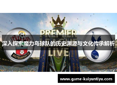 深入探索魔力鸟球队的历史渊源与文化传承解析