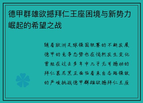 德甲群雄欲撼拜仁王座困境与新势力崛起的希望之战